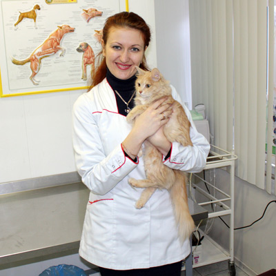 псевдолактация