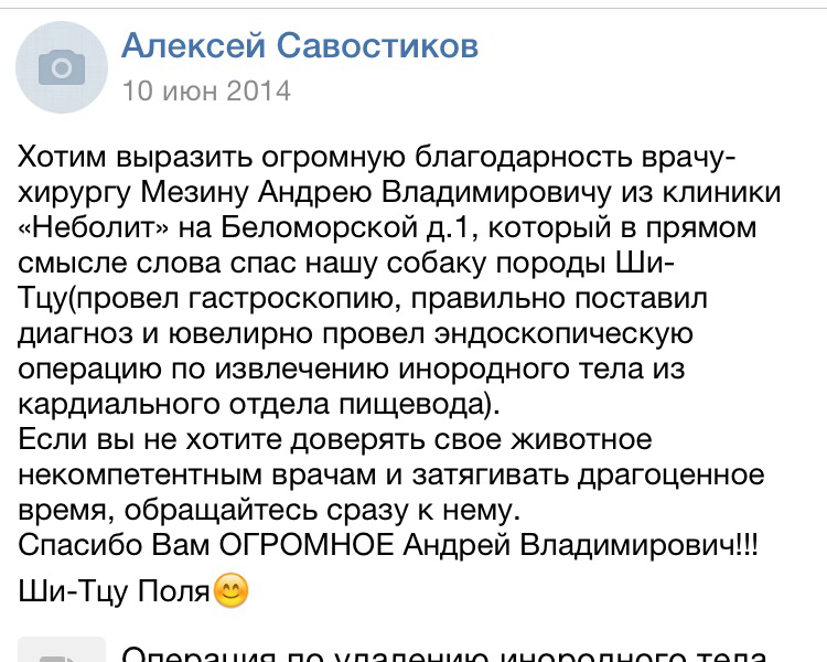 отзыв Мезину Андрею Владимировичу